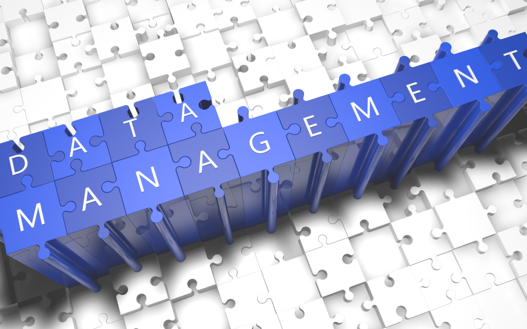 Data Management: A Guide to Success