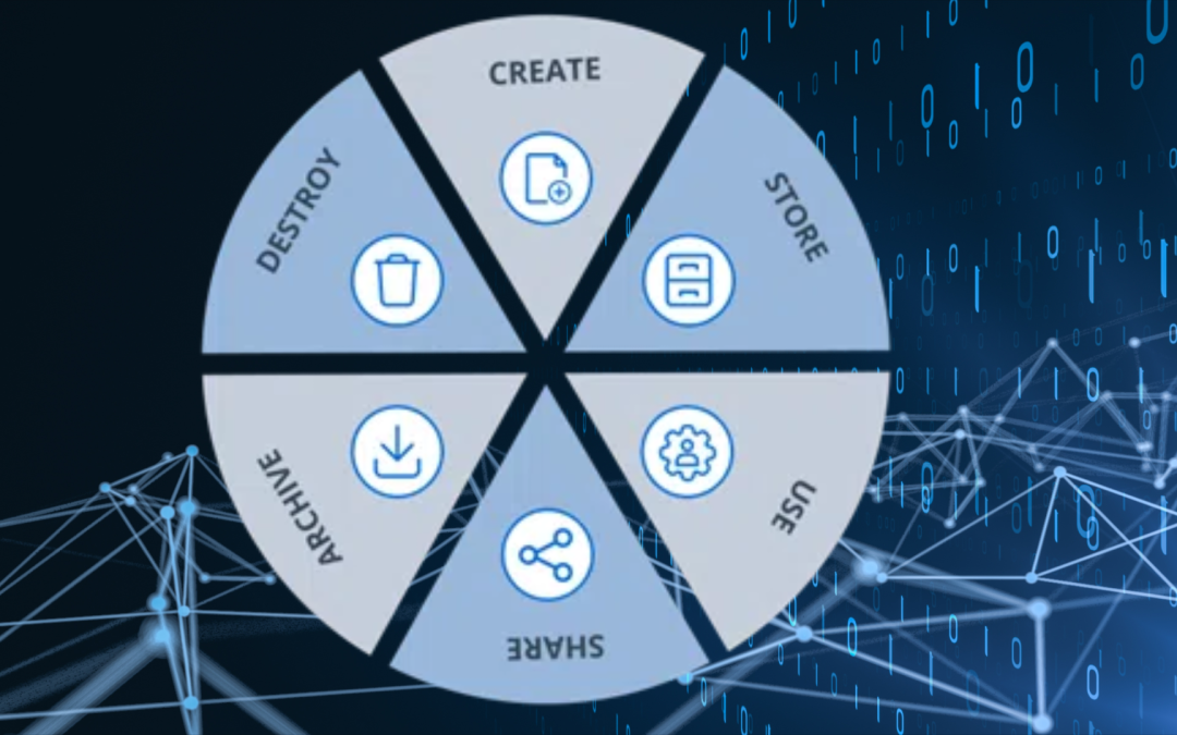 Overcoming data lifecycle management challenges